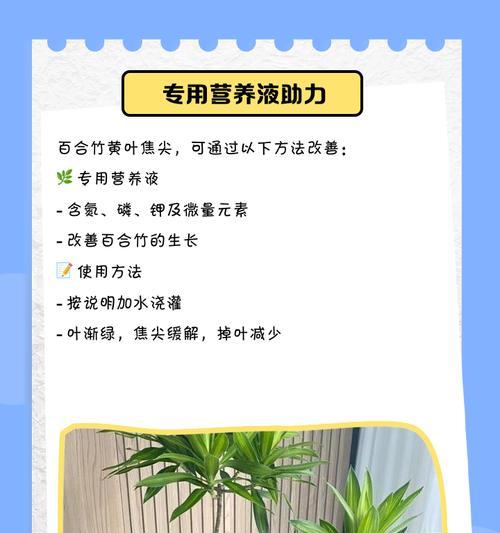森林竹叶子发黄的解决方法是什么？