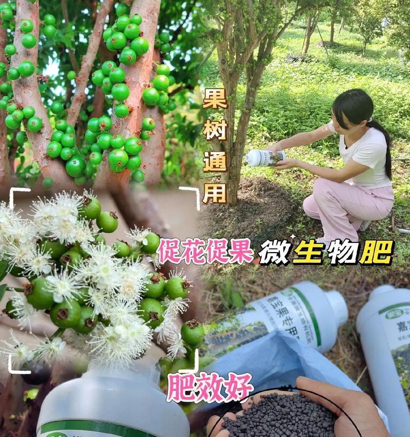 如何自制果树生根液肥料？自制肥料的步骤和注意事项是什么？