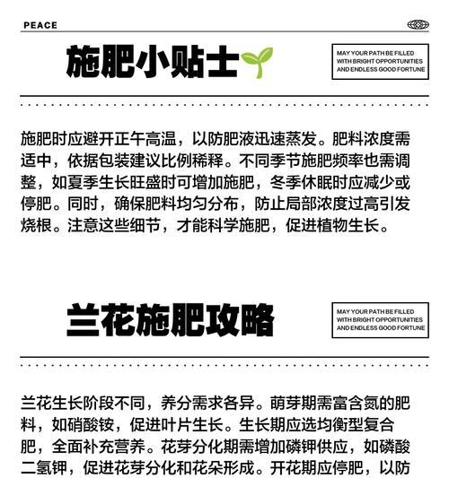 兰花的施肥技巧和注意事项有哪些？兰花施肥的正确方法是什么？