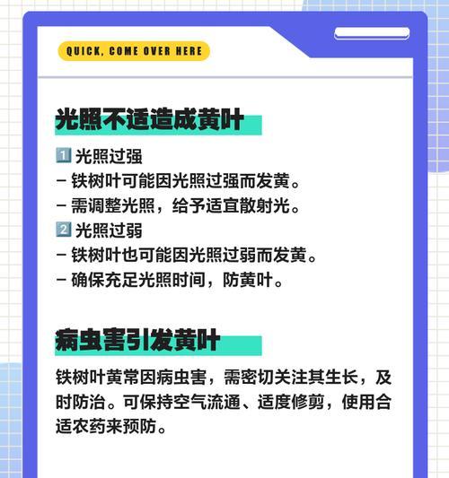 铁线莲叶片黄的原因是什么？如何解决铁线莲叶片黄的问题？