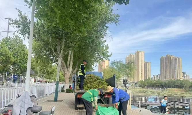 绿篱浇水的最佳方法是什么？