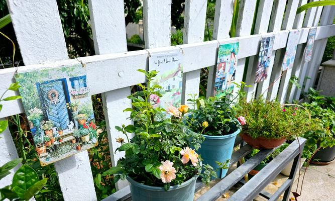 种花木养花有哪些技巧？养花技巧全攻略。