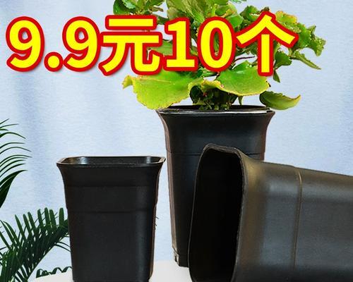 盆景塑料托架安装步骤是什么？