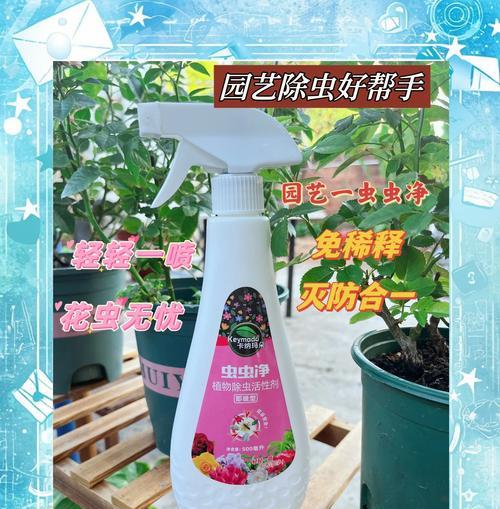 哪些观赏植物不易生虫？如何选择无虫害的观赏植物？