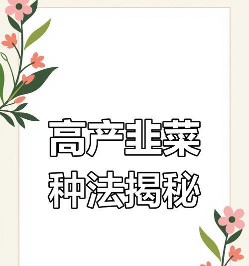韭菜高产栽培技术要点是什么？