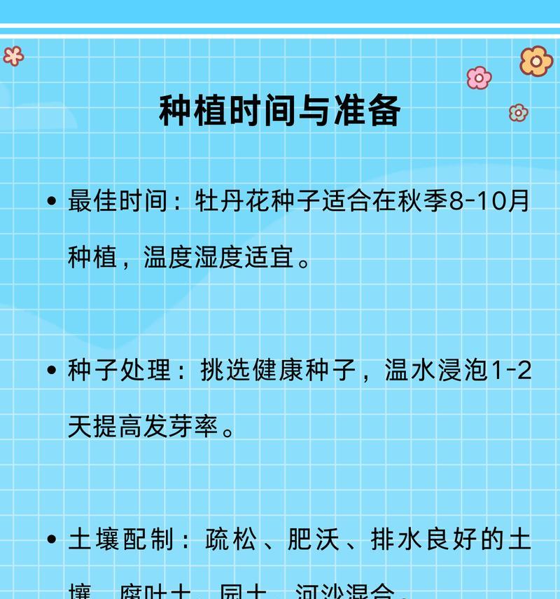 富贵花种子的寓意是什么？