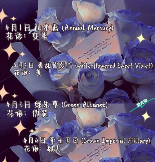 带雨的花象征着什么？它的含义是什么？
