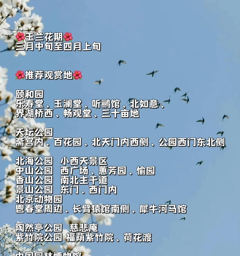 玉兰花语代表什么含义？有哪些特别的寓意？
