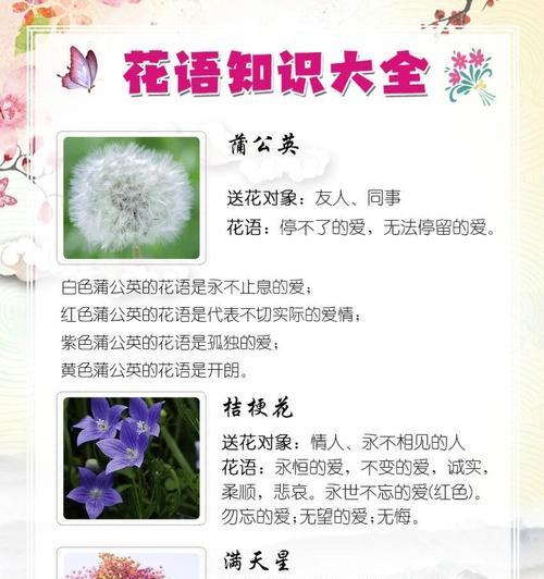 花语中哪种花代表朋友？友谊的花语是什么？
