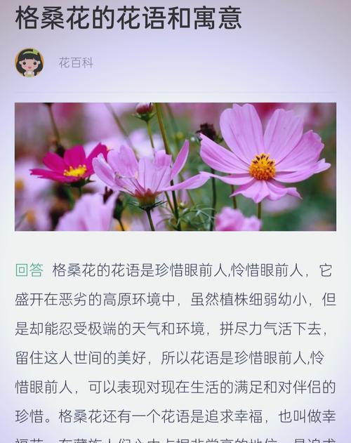 花的寓意和花语具体包括哪些？