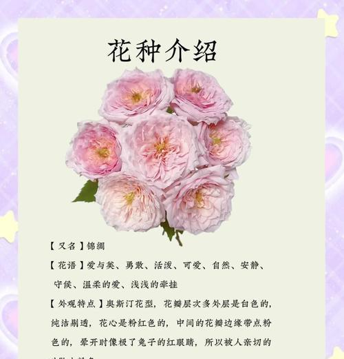 花与兔象征着什么？花与兔的寓意有哪些？