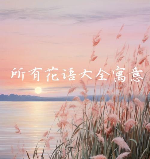 10朵向日葵的花语及其寓意是什么？