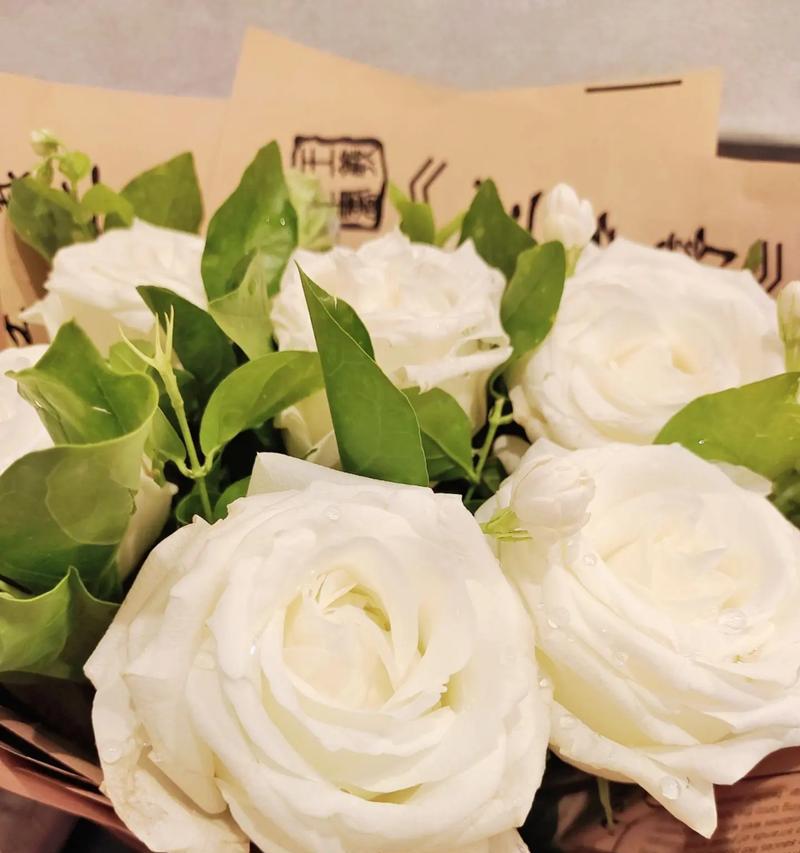 “愿君莫离”的花语含义是什么？哪种花象征着这个意义？