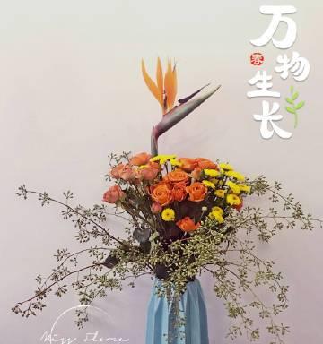 小米花的花语有哪些？