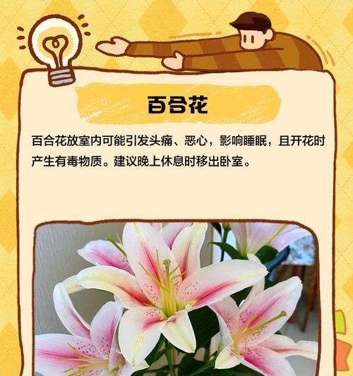 花的寓意和忌讳是什么？如何正确选择和摆放花卉？