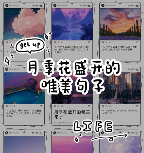 唯美花语句子有哪些？如何创作出唯美的花语？