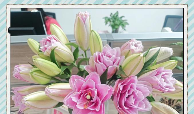粉色百合花语有何寓意？它象征着什么？