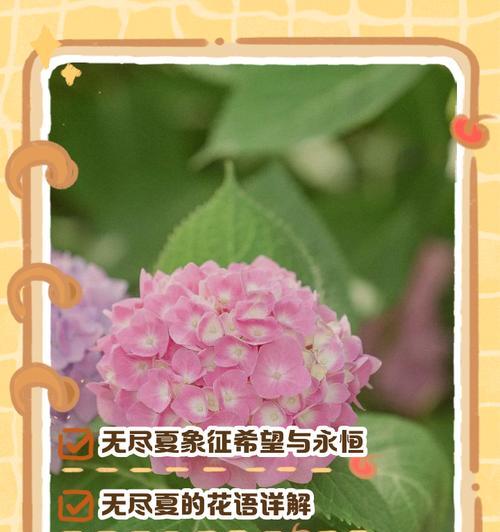 邪恶的象征花是什么？哪些花充满邪恶象征？