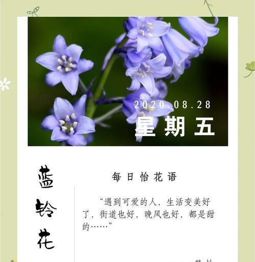 永恒之花象征着什么？其花语代表的永恒不变的爱是什么？