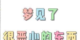 代表了什么？
