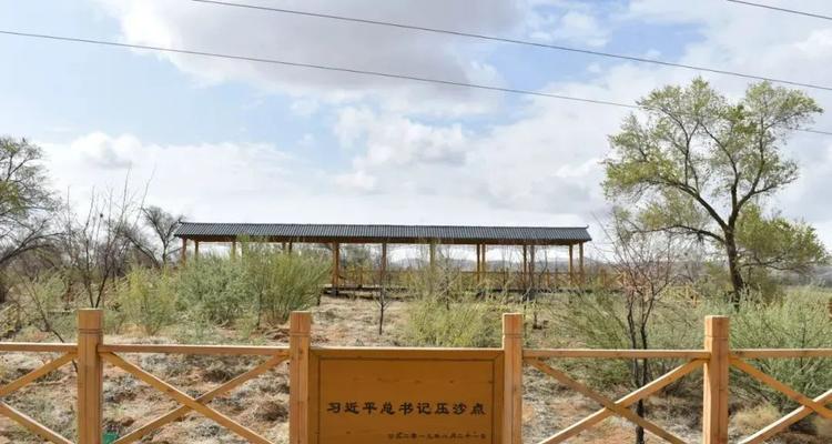 生命之花绿洲代表了什么？它在文化中的意义是什么？