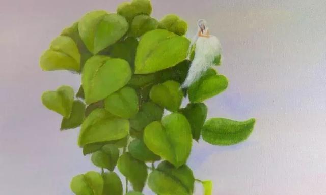 生命之花绿洲代表了什么？它在文化中的意义是什么？