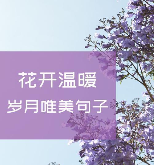 珍惜花的花语是什么？表达对花珍惜之情的方法有哪些？