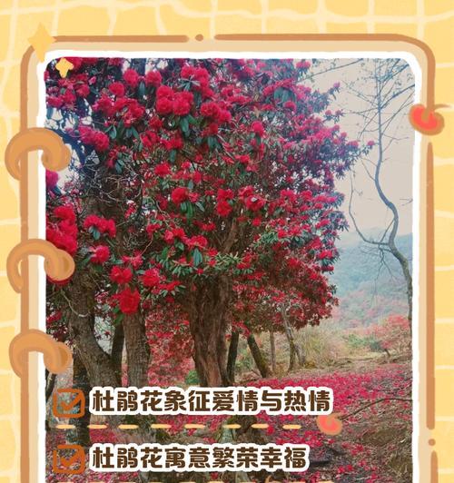 花的深处含义是什么？如何解读花的深层象征意义？