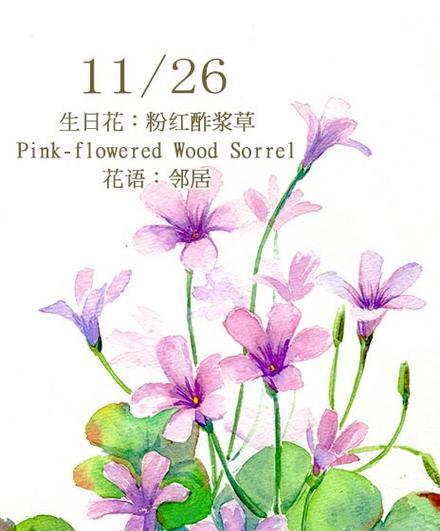 塔罗花语的深层含义是什么？