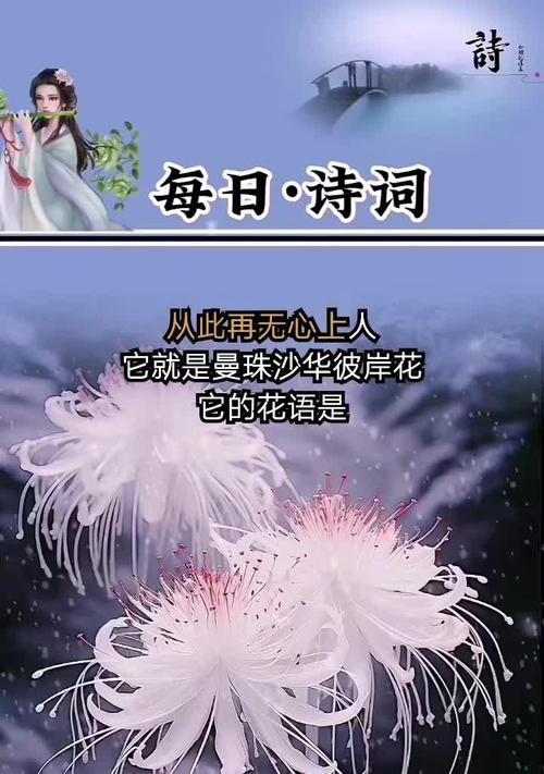 哪些花象征着回忆和思念？它们的花语是什么？