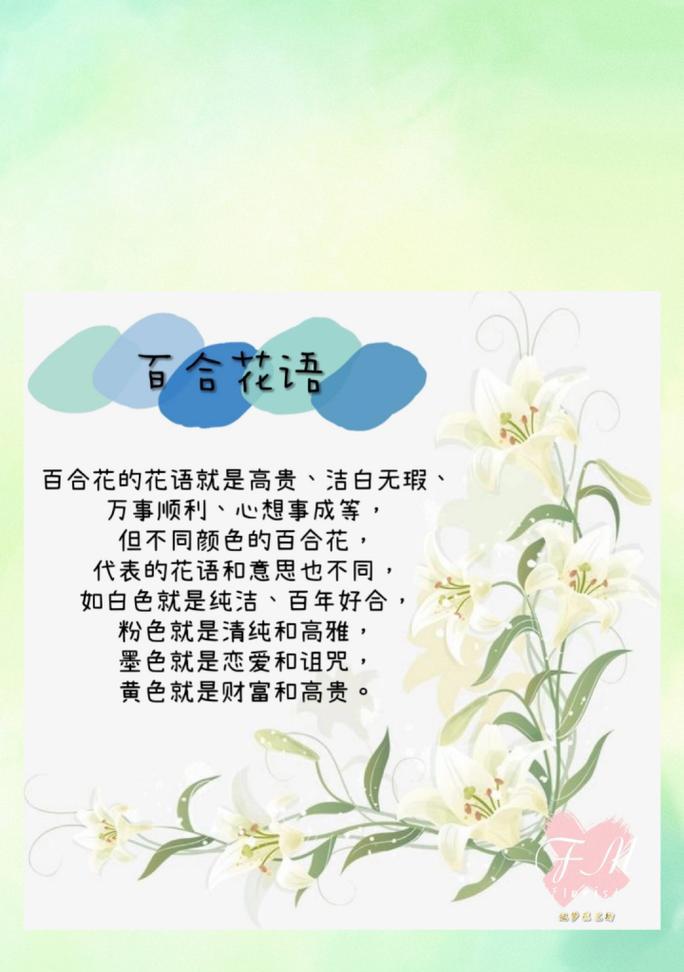 百合花的正面寓意和代表含义是什么？