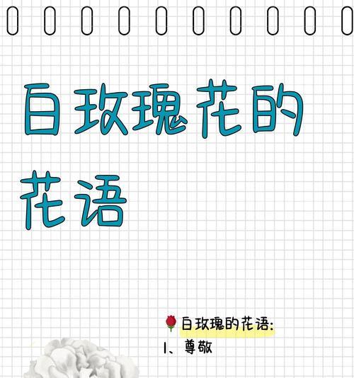 山茶花白玫瑰的寓意和花语是什么？