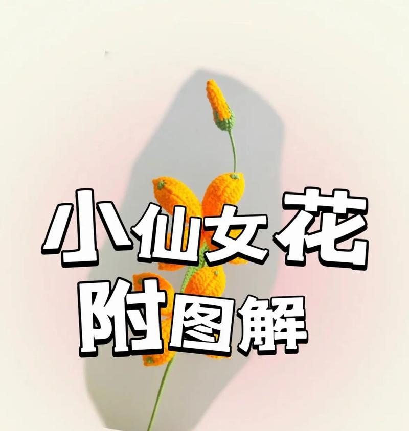 小仙女花是什么意思？小仙女花的寓意有哪些？