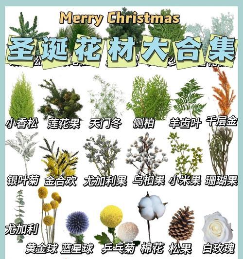 花材的象征含义是什么？它们各自代表了什么？