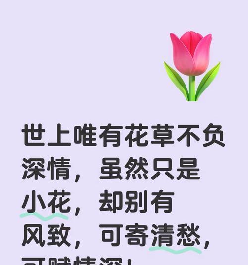 花语中的忧伤代表什么？如何用花朵表达哀愁？