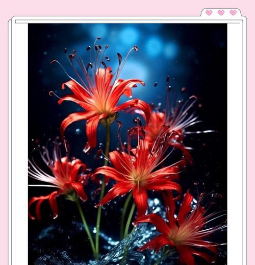 花语中的忧伤代表什么？如何用花朵表达哀愁？