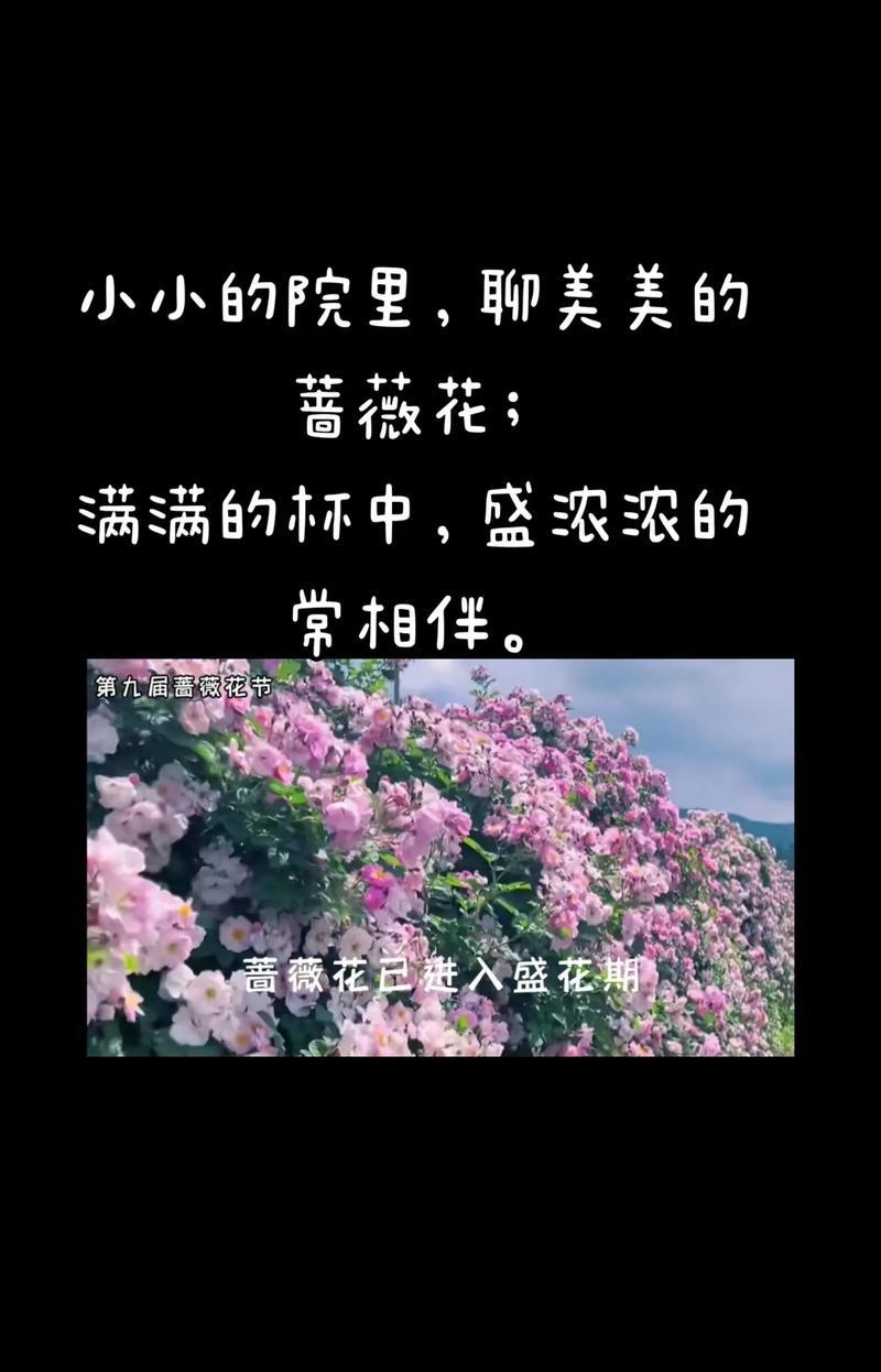 最能表达爱意的花语是什么？有哪些花语代表爱意？
