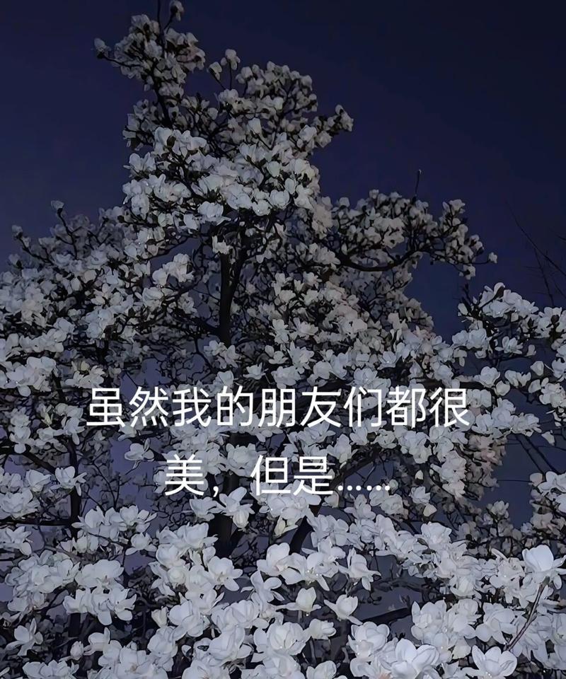 几朵花象征友谊？代表友谊的花有哪些？