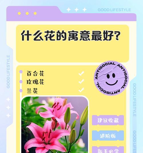 恋人之间送哪种花有特殊含义？