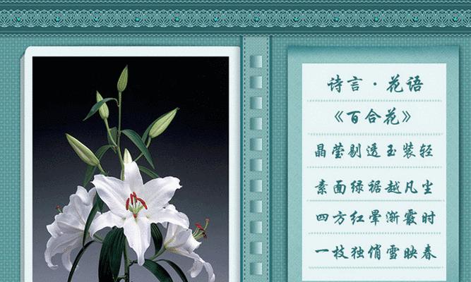 诗中花的花语含义有哪些？