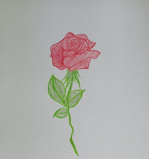 手绘简易的花象征着什么？手绘简易的花的含义是什么？