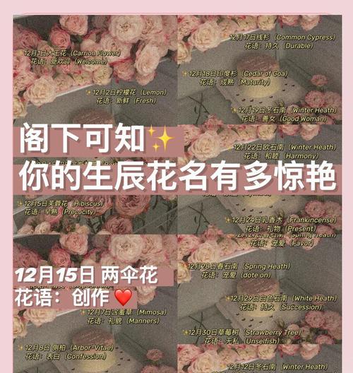 花间留香的含义是什么？花间留香在诗词中表达什么情感？