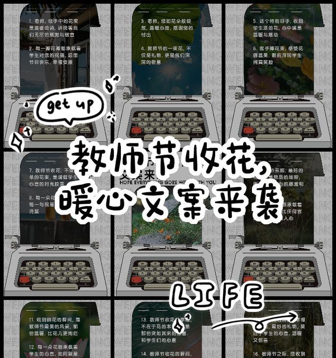 送老师哪种花有特别含义？哪种花代表敬意？