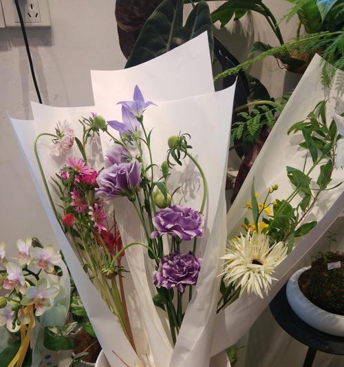 送老师哪种花有特别含义？哪种花代表敬意？