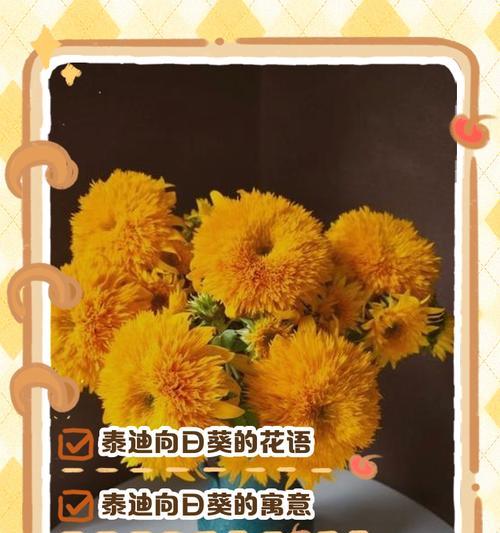 向阳花的花语是什么？向阳花寓意有哪些？