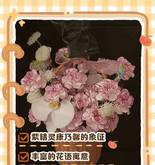 康乃馨数量与花语的含义是什么？
