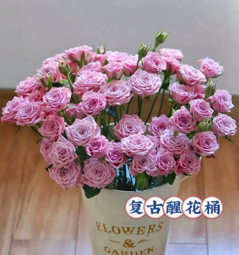 复古花的含义是什么？复古花卉在现代的象征意义是什么？