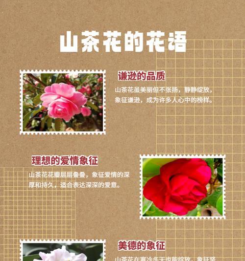 日本花卉的寓意有哪些？