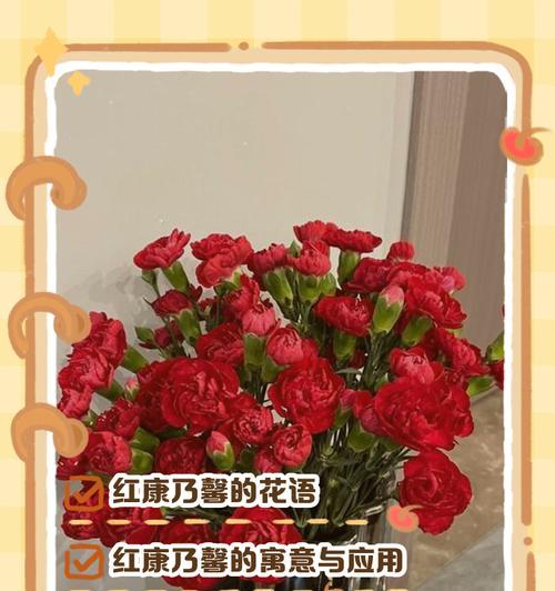 康乃馨的花语含义是什么？它为何有时会被认为是祸害？