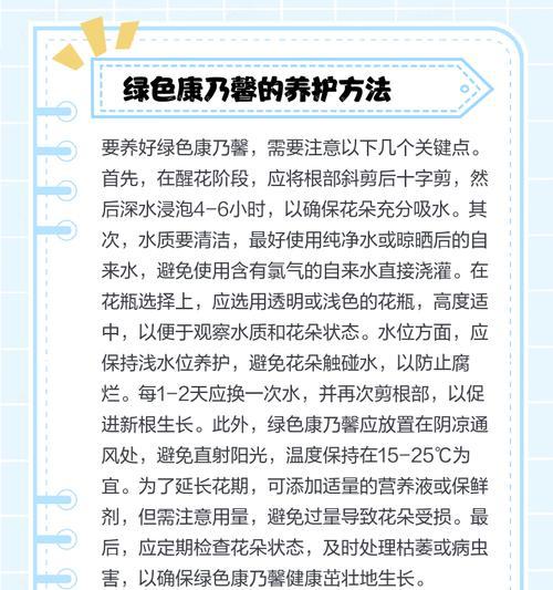 康乃馨的花语含义是什么？它为何有时会被认为是祸害？